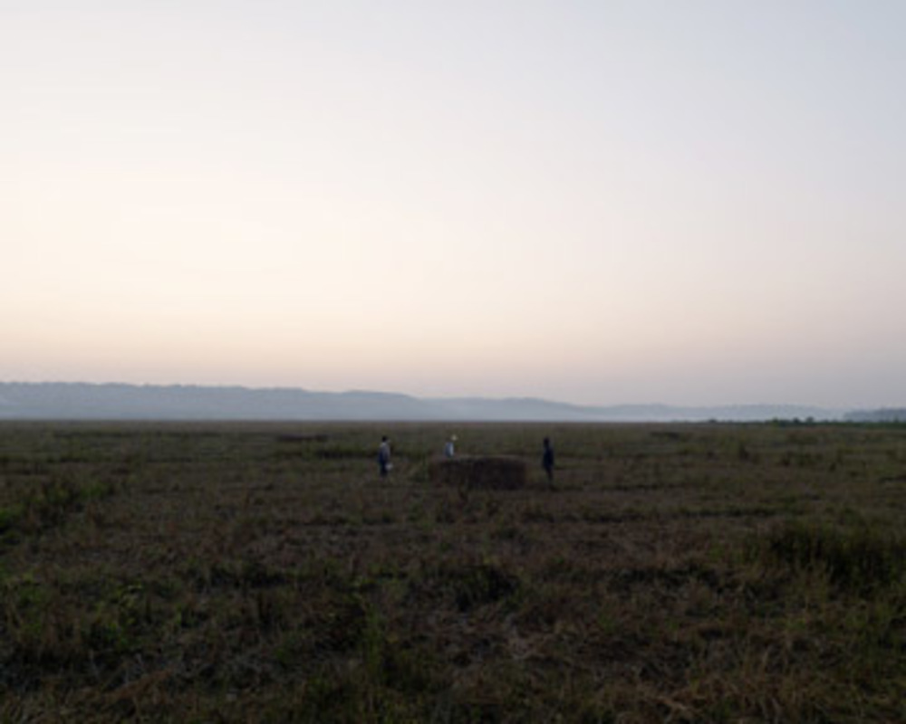 Field