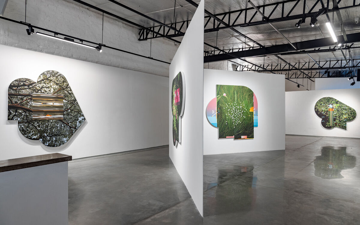 artist/banner/3_20260201_122120.jpg