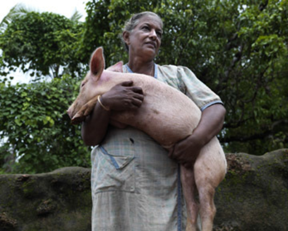 Woman With Pig