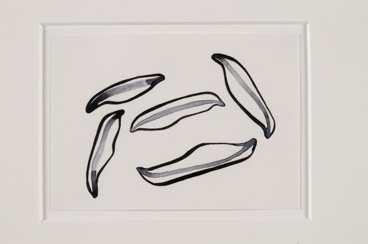 Grey, (detail)
