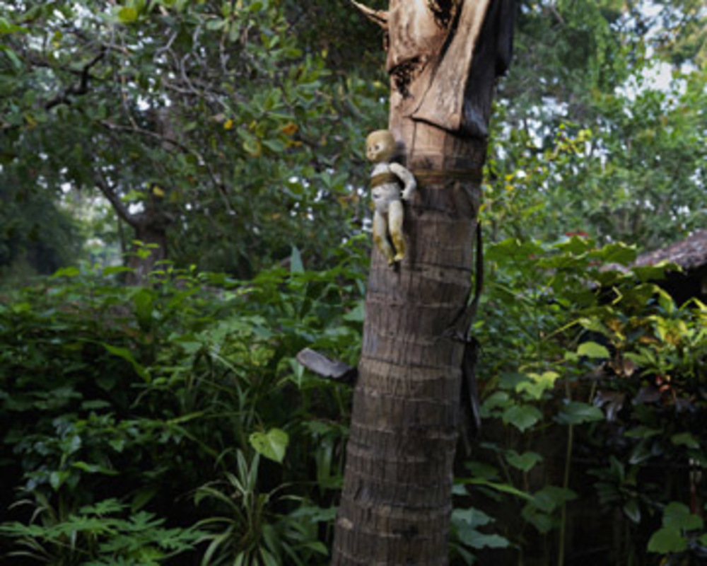 Doll On Tree