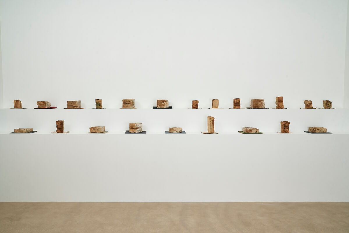 artist/banner/15_20260201_151921.jpg